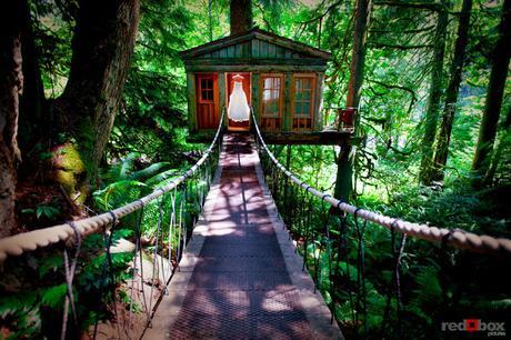 A New Wave of Unique Wedding Venues