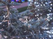 Reasons Keep Your Search During Holidays