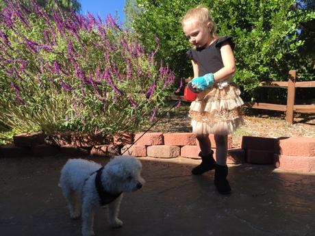 Rehearsal - The Day Before The Big Day