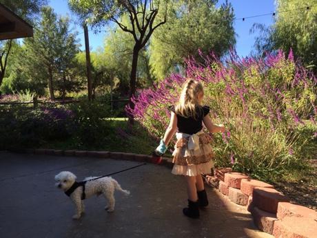 Rehearsal - The Day Before The Big Day