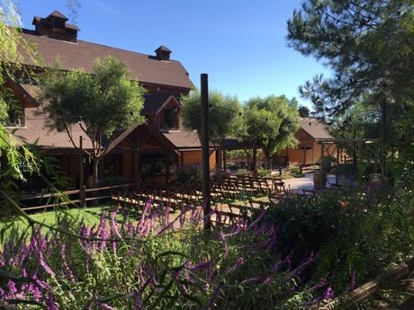 Rehearsal - The Day Before The Big Day