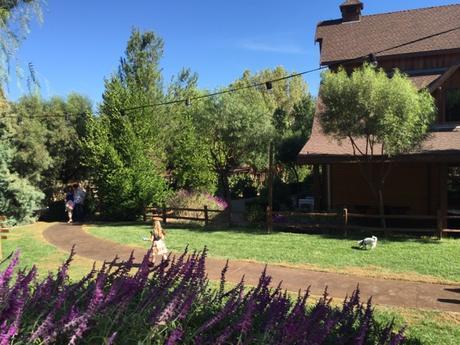 Rehearsal - The Day Before The Big Day