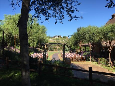 Rehearsal - The Day Before The Big Day