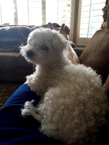 Rehearsal - The Day Before The Big Day