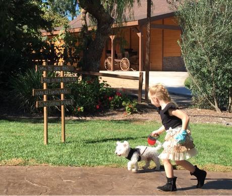 Rehearsal - The Day Before The Big Day