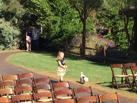 Rehearsal - The Day Before The Big Day