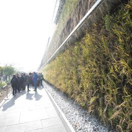 EXPO 2015: artborghi behind the scenes _DSC1739