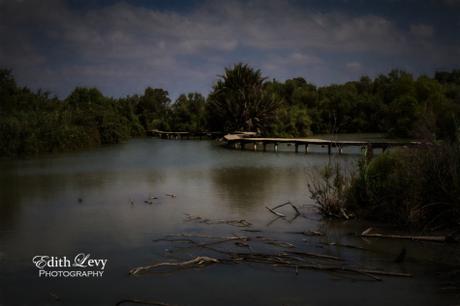 Israel, Ein Afek, nature reserve, path, bridge, lake, fine art