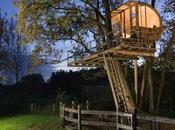 Creating Backyard Haven Escape