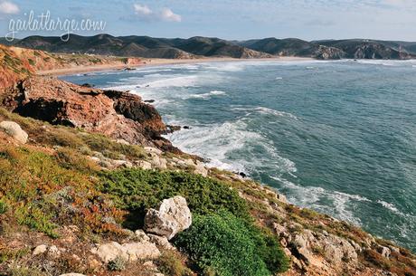 Praia do Amado, Aljezur (Algarve, Portugal)