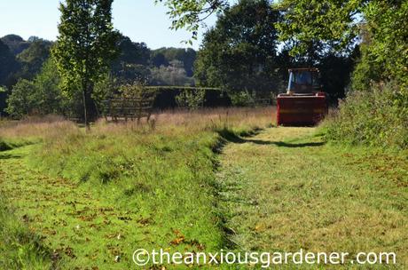 Meadow Cutting (4)