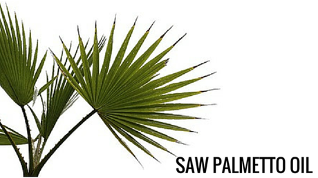 6 Amazing Oils that Help Treat Hair Loss & Slow Growing Hair