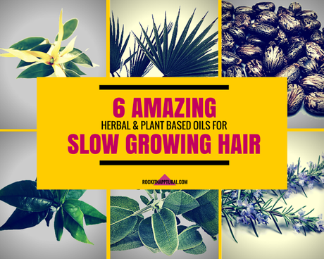 6 Amazing Oils that Help Treat Hair Loss & Slow Growing Hair