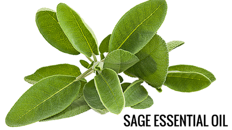 6 Amazing Oils that Help Treat Hair Loss & Slow Growing Hair