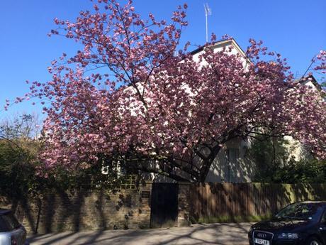 Another Gem From the 2015/16 London Walks Leaflet