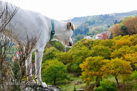 Penela da Beira, Portugal