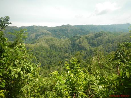 Central Cebu Protected Landscape