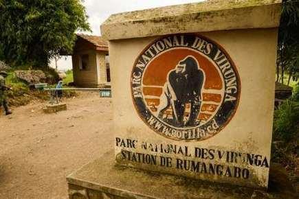 Oil confirmed under Africa’s oldest wildlife park Virunga: DRC govt