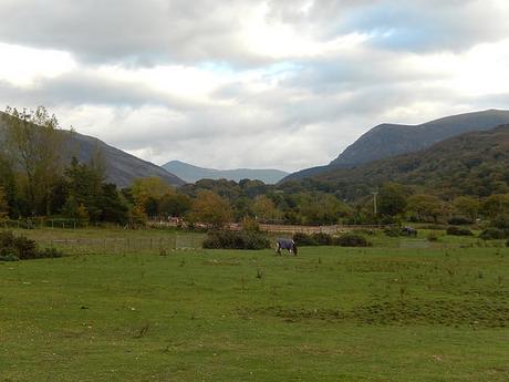 Riding the Welsh Highland Railway