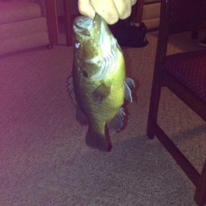 MY TRIP TO CROSSVILLE TENNESSEE…COME JOIN ME!