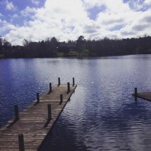 MY TRIP TO CROSSVILLE TENNESSEE…COME JOIN ME!