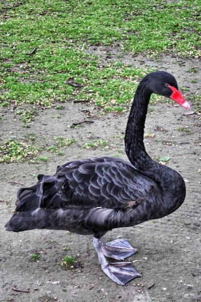 In & Around London… Swanning About #London In & Around London… Swanning About #London