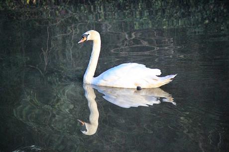 In & Around London… Swanning About #London In & Around London… Swanning About #London