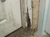 People Timber Doors Repair