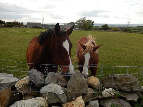 Weekend in Waunfawr