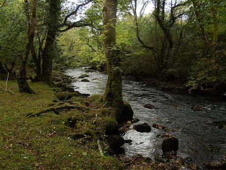 Weekend in Waunfawr