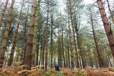 York Portrait Photography in Wheldrake Woods in the fog