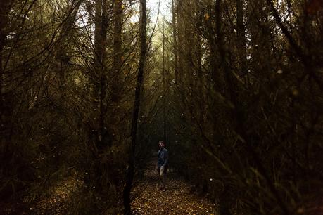 York Portrait Photography in Wheldrake Woods in the fog