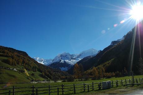 Wool Loving in South Tyrol