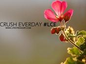 Moments Inspiration: Life Crush Everyday #LCE