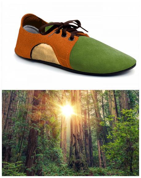 Redwoods Forest-Inspired Dash