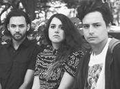 Edelweiss Burst With Perfect Guitar Fuzz ‘Species’ [Stream]