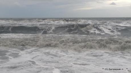 Marina at random - puddles of water - rough sea - new born calf and buffaloes walking !!!