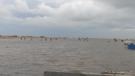 Marina at random - puddles of water - rough sea - new born calf and buffaloes walking !!!