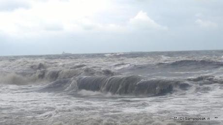 Marina at random - puddles of water - rough sea - new born calf and buffaloes walking !!!