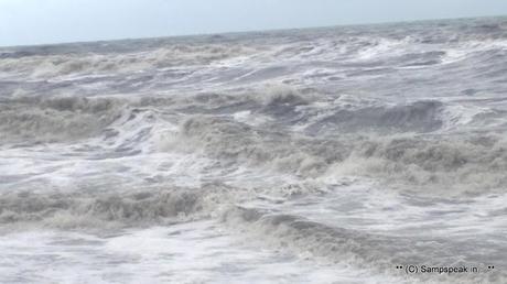 Marina at random - puddles of water - rough sea - new born calf and buffaloes walking !!!