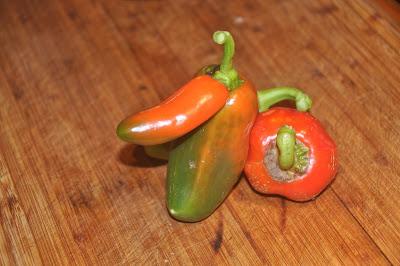 Flower, Lichen, Leaves, and a Rather Naughty Pepper