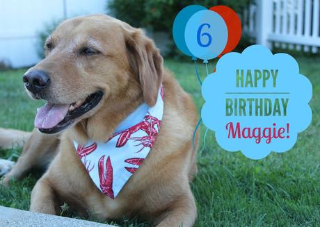 Maggie Turns 6!
