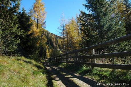 Hiking with a Stroller in Italy? Yes! It Can Be Done! Hiking with a Stroller in Italy? Yes! It Can Be Done!