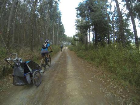 The Karkloof MTB series draws a few thousand cyclists every year and was at one point the largest mountain biking event in the country. Within the first kilometres we were whizzing along the forestry roads. 