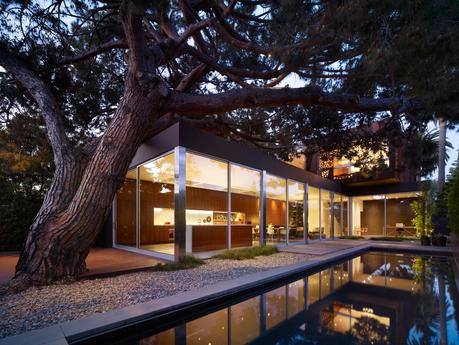 Finally, the stone pine tree reveals itself from the backyard looking over the Venice neighborhood. Its canopy stretches over the first floor of the home and can be glimpsed by the skylights placed strategically above the living area. 
