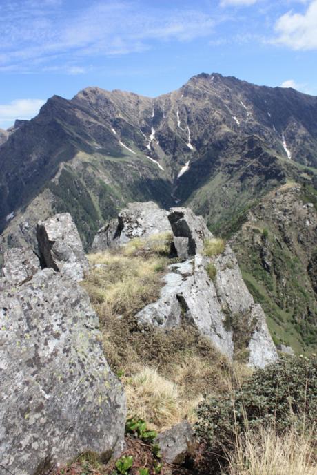 Taken in July of 2015 in Great Himalayan National Park (GHNP) in Kullu District