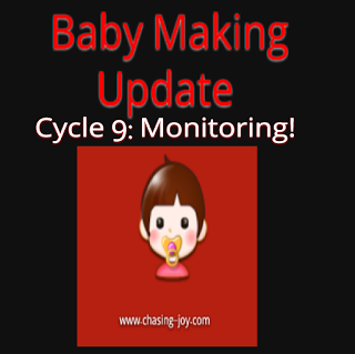 Baby Making Update: Back at it! TTC Cycle 9: Monitoring