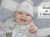 Noah Months Thoughts Chicco Walker