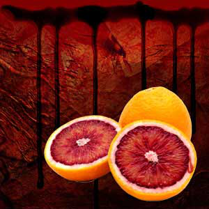 Blood Orange Fragrance