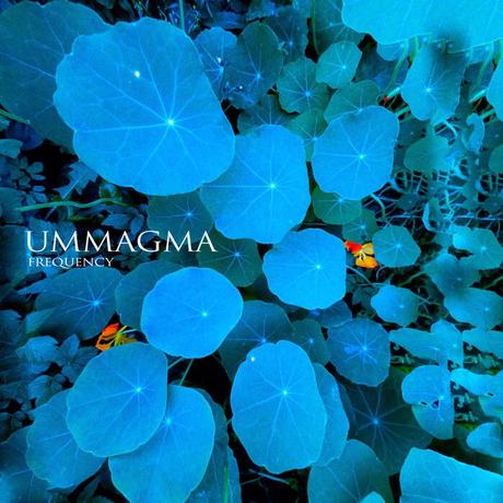 CD Review: Ummagma – Frequency